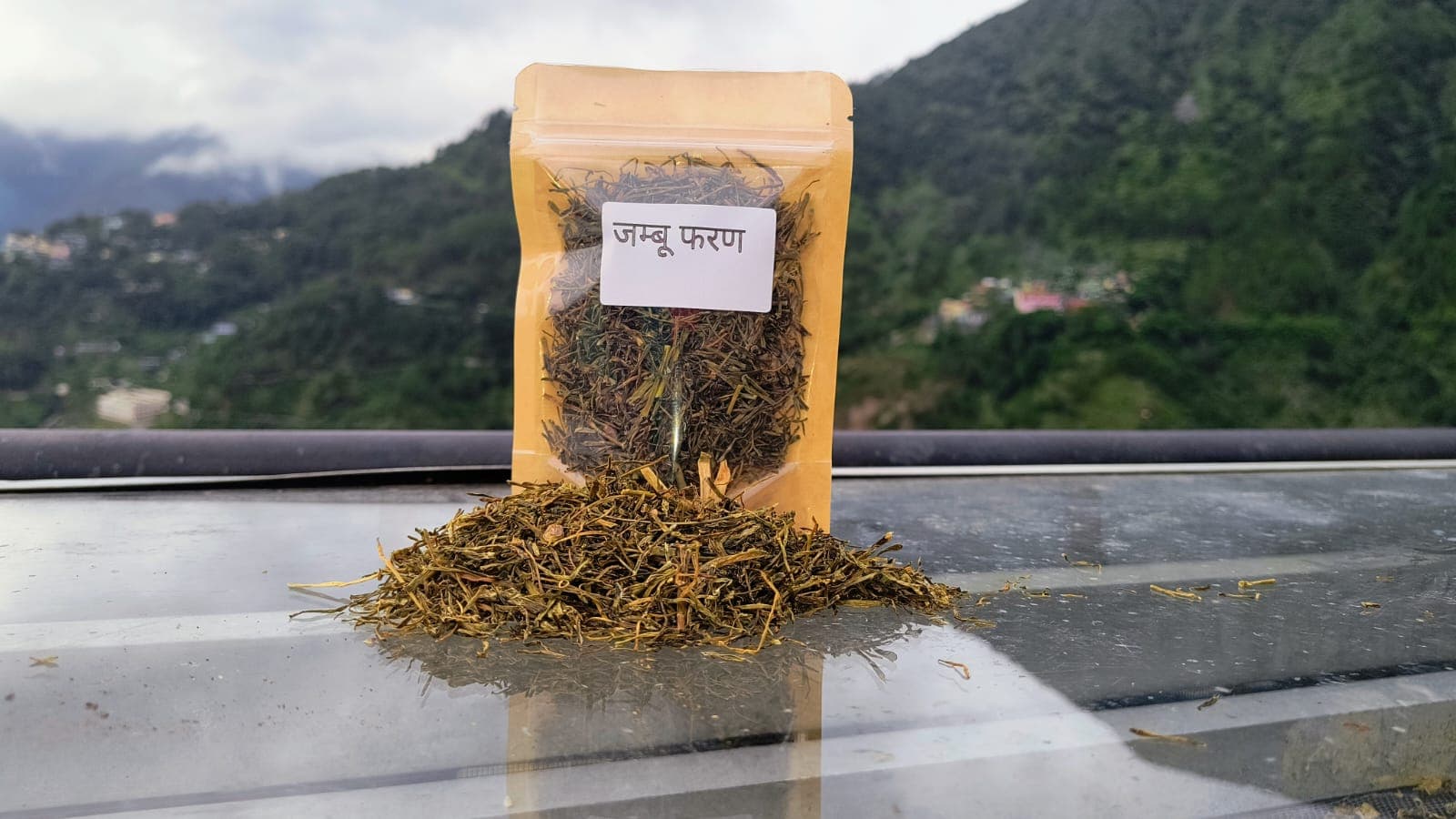 Faran (Himalayan Chive)