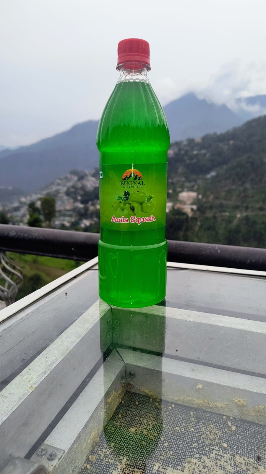 Sugar-Free Amla Juice (750 ml) - image 1