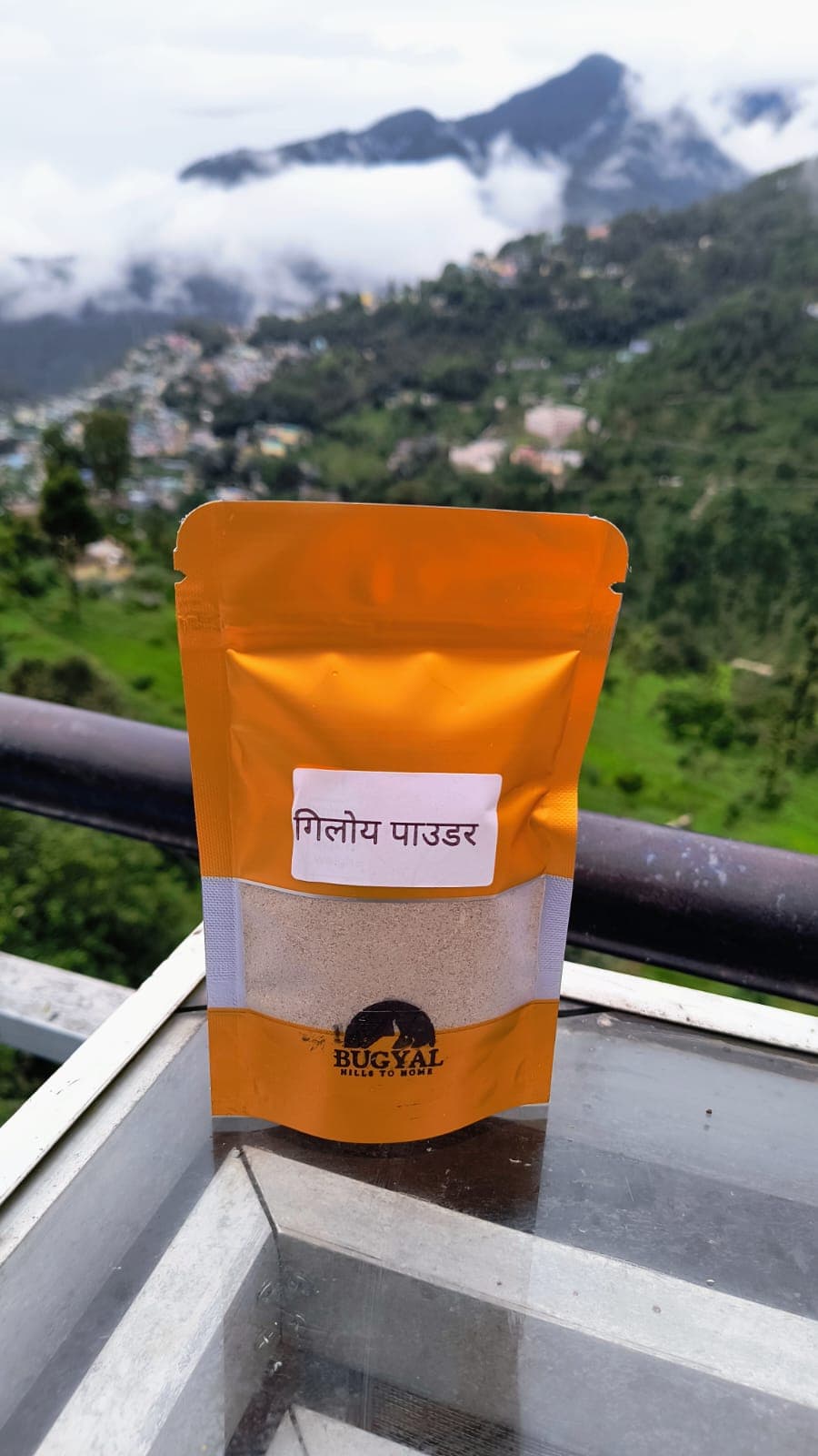 Giloy Powder