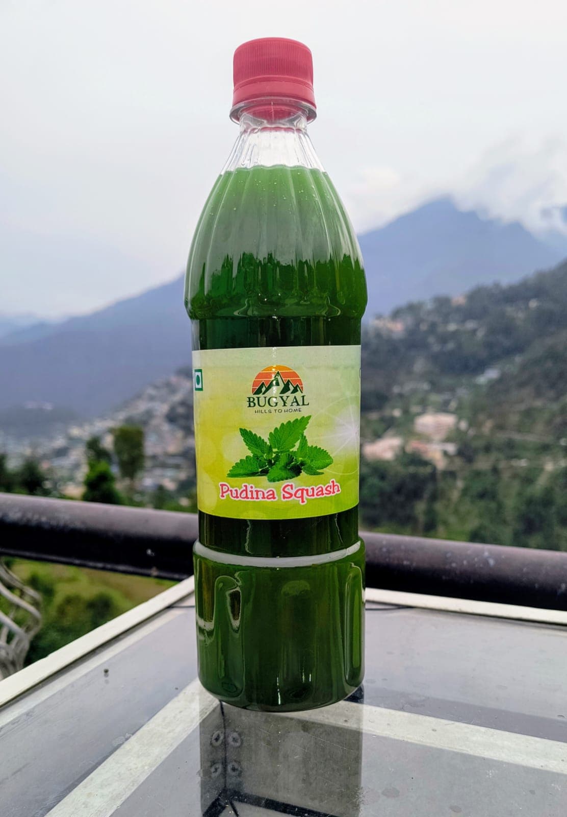 Pudina Juice (750 ml) - image 1