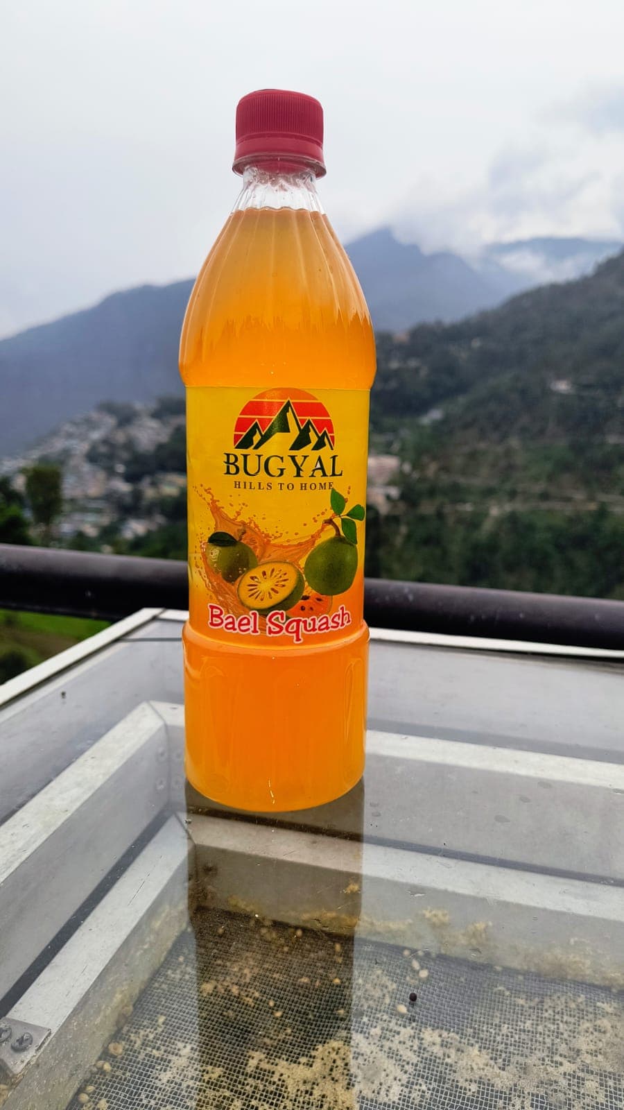 Bael Juice (750 ml) - image 1