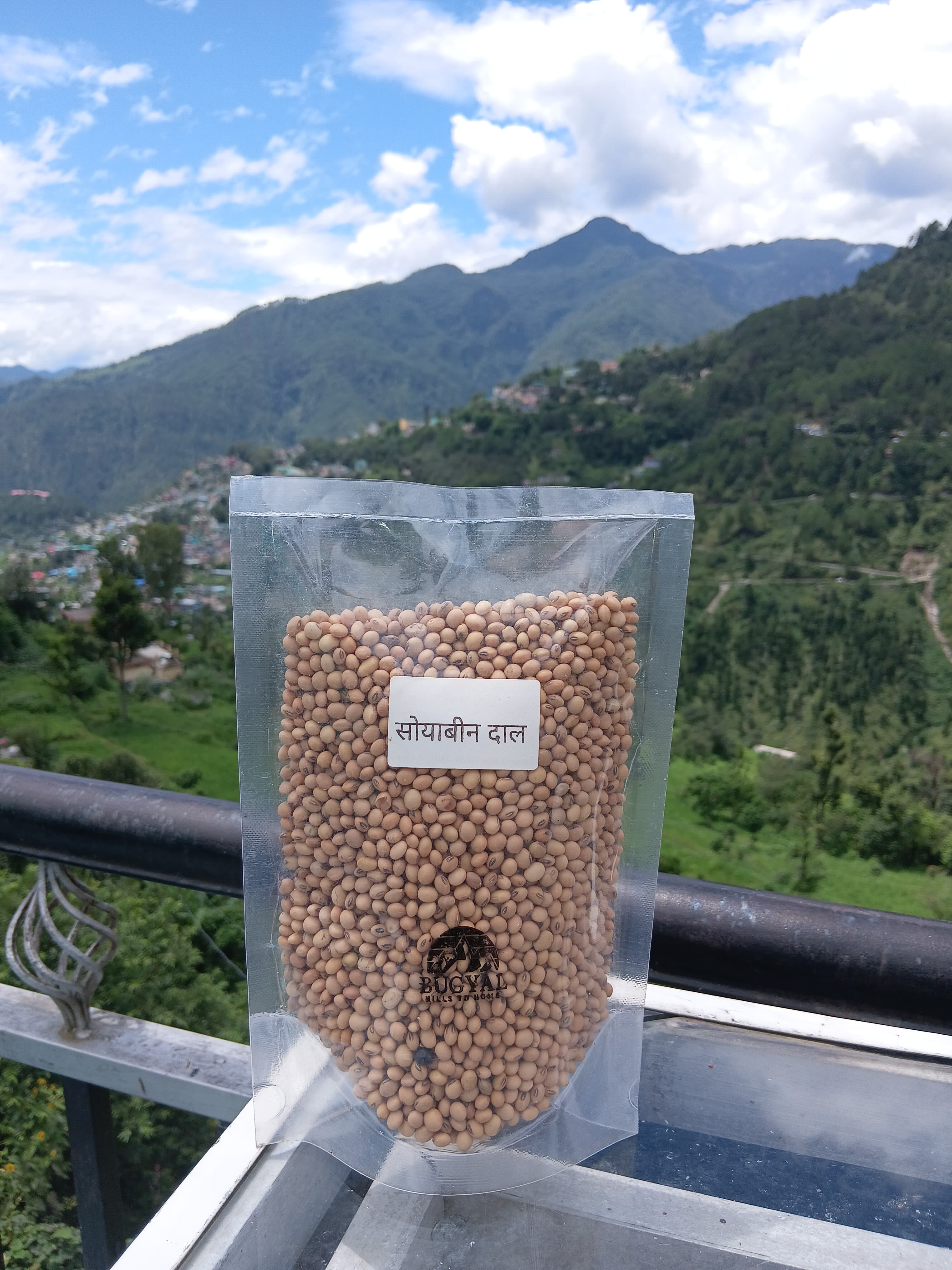 Pahadi Soybean - image 1