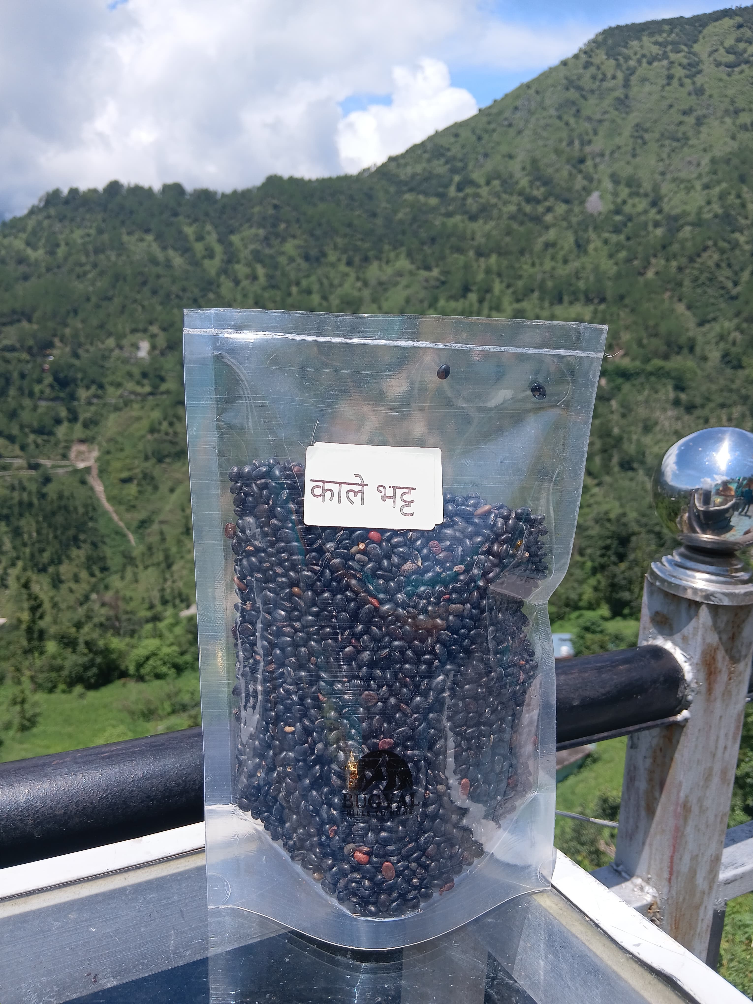 Kaaley Bhatt (Black Soybean)