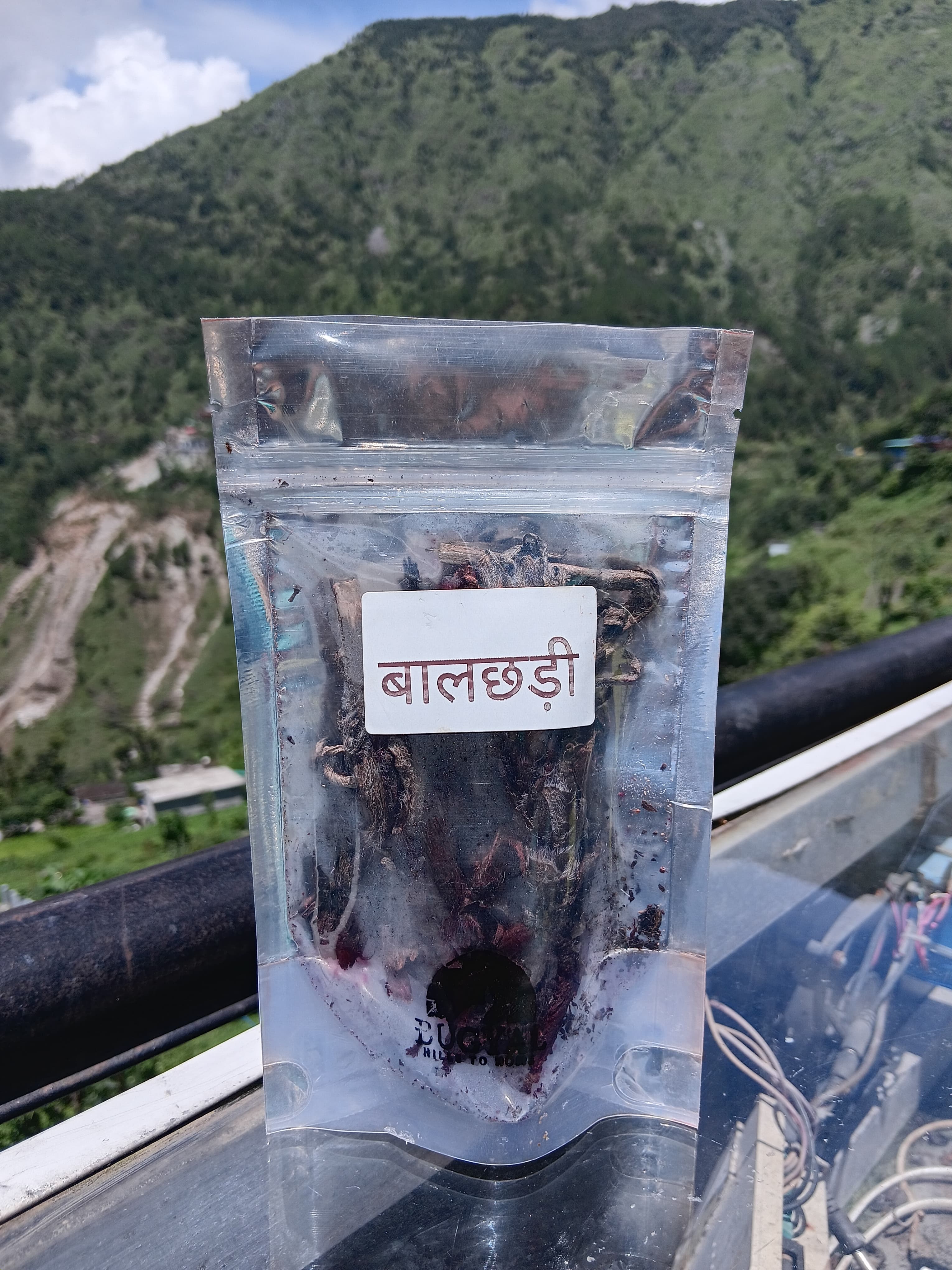Baal Chhadi – Himalayan Traditional Herb