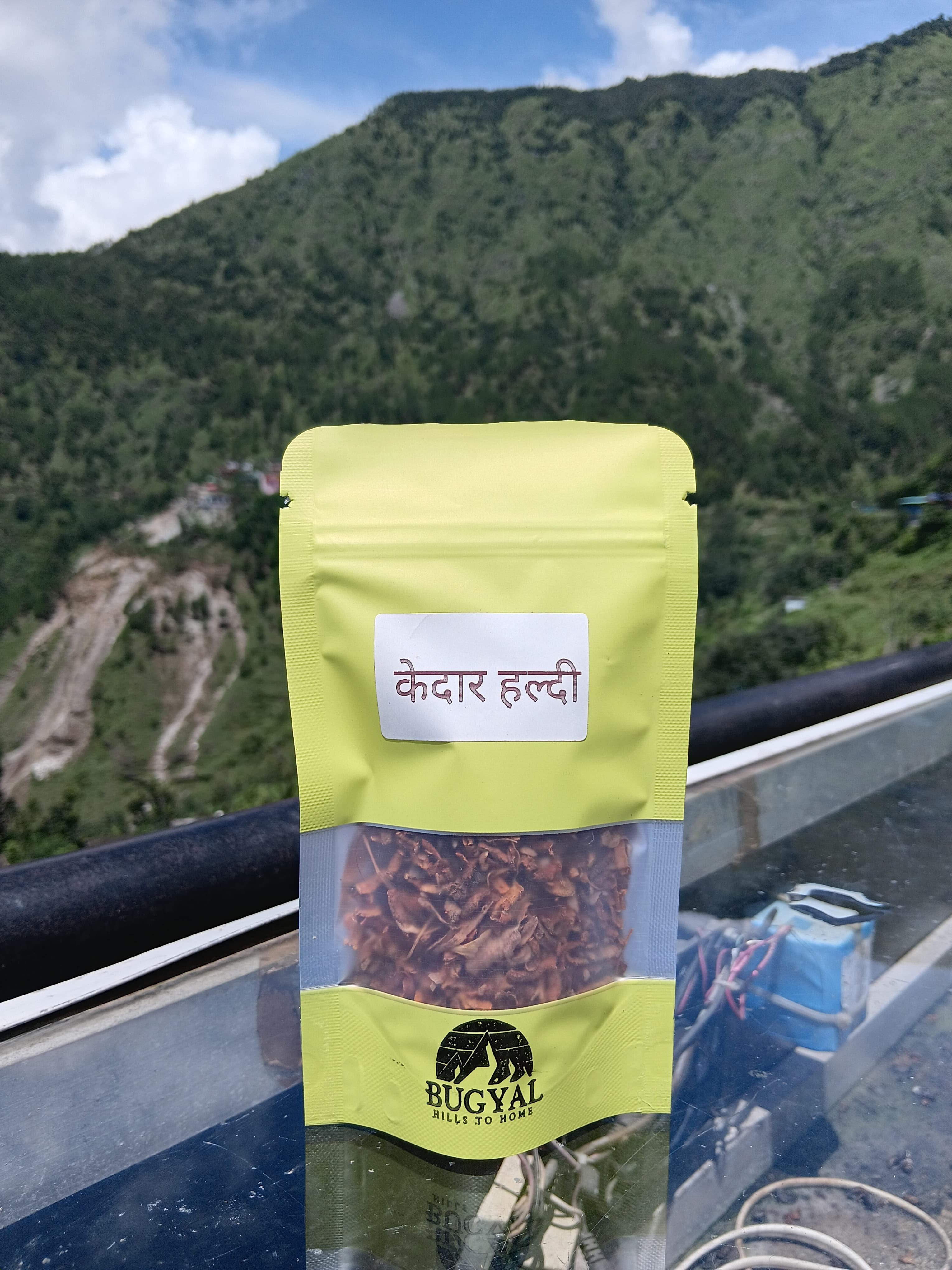 Kedar Turmeric (Pahadi Haldi) - image 1
