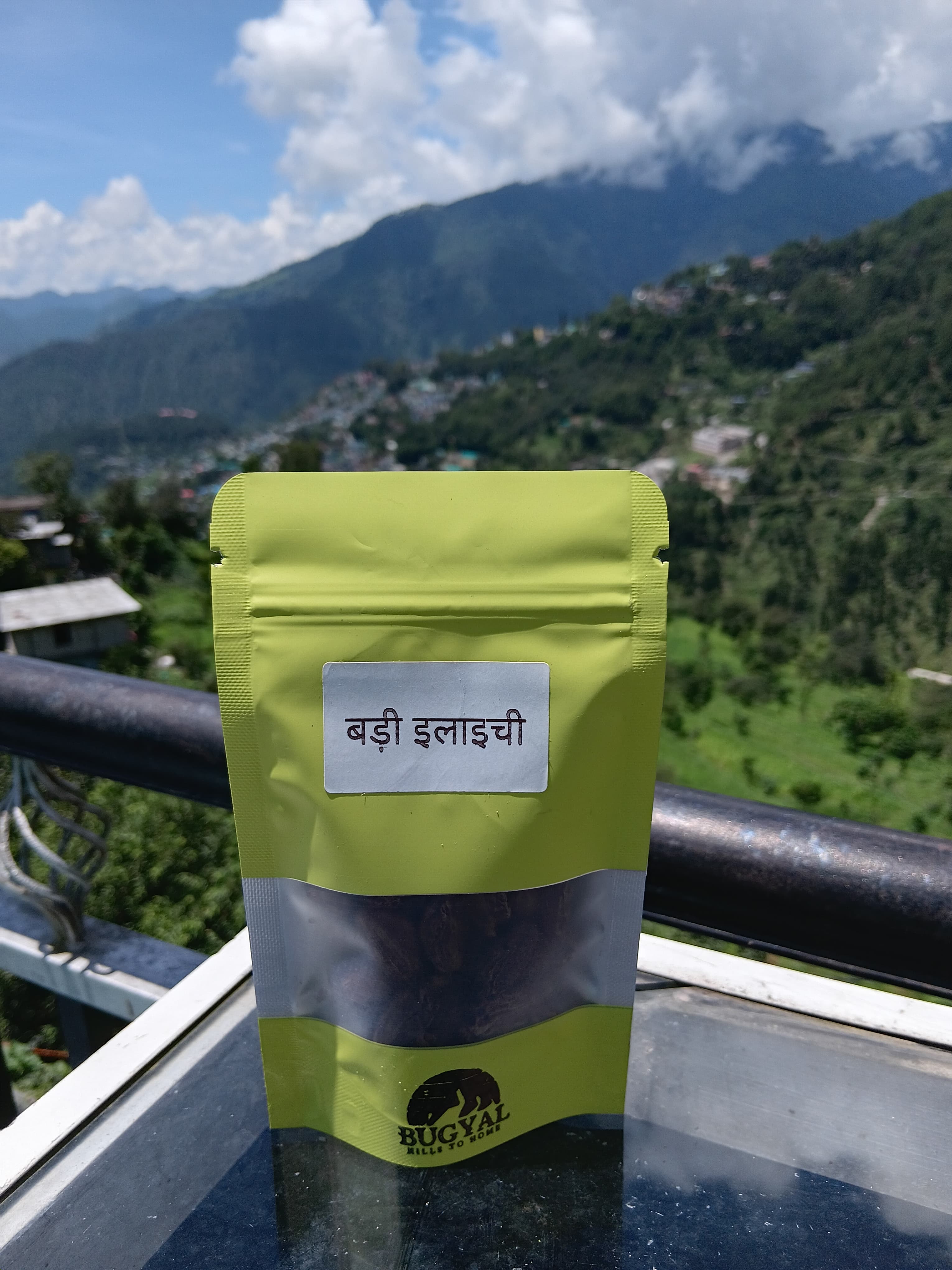 Black Cardamom (Badi Elaichi) - image 1