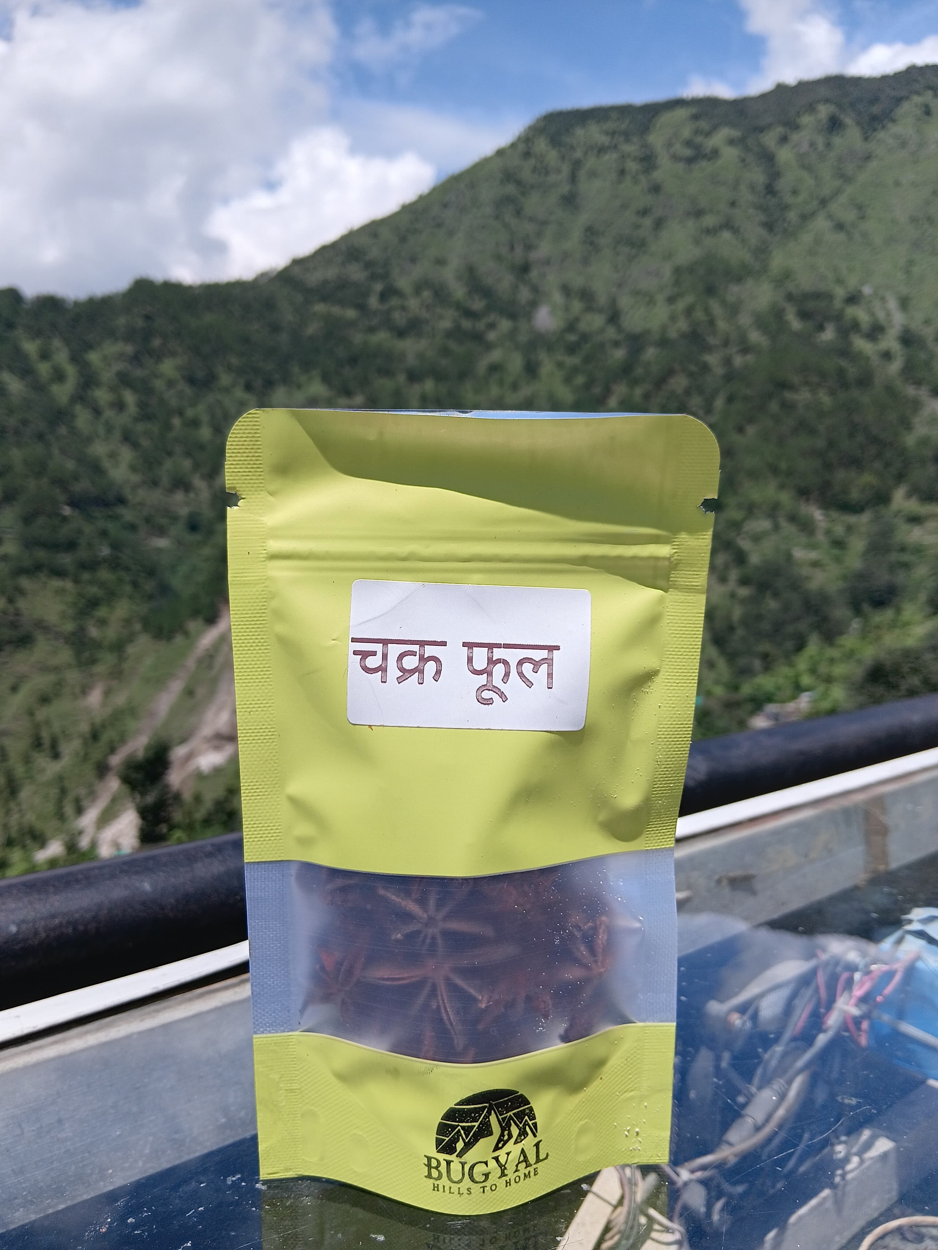 Star Anise (Chakra Phool) - image 1