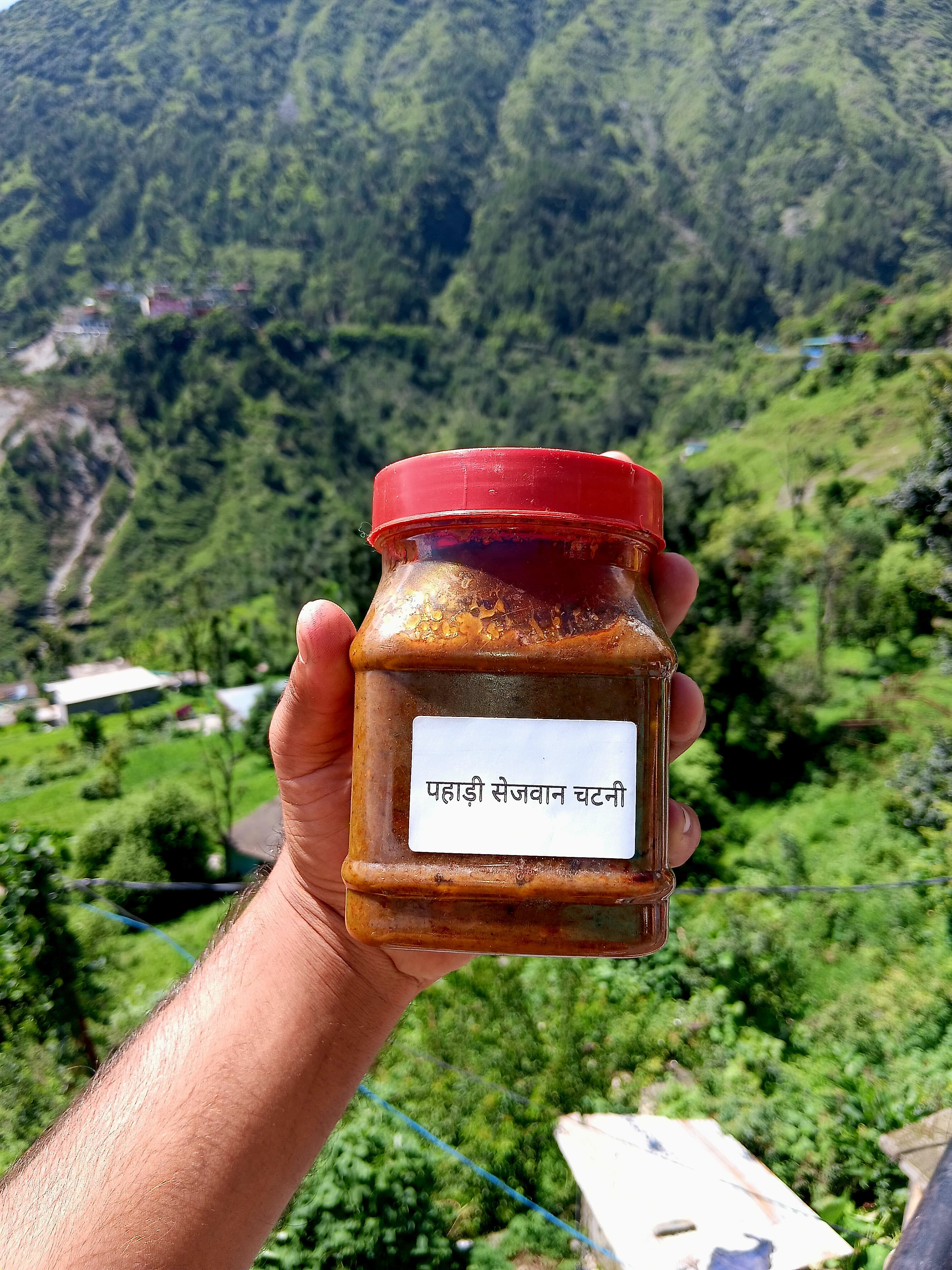 Pahadi Schezwan Chutney