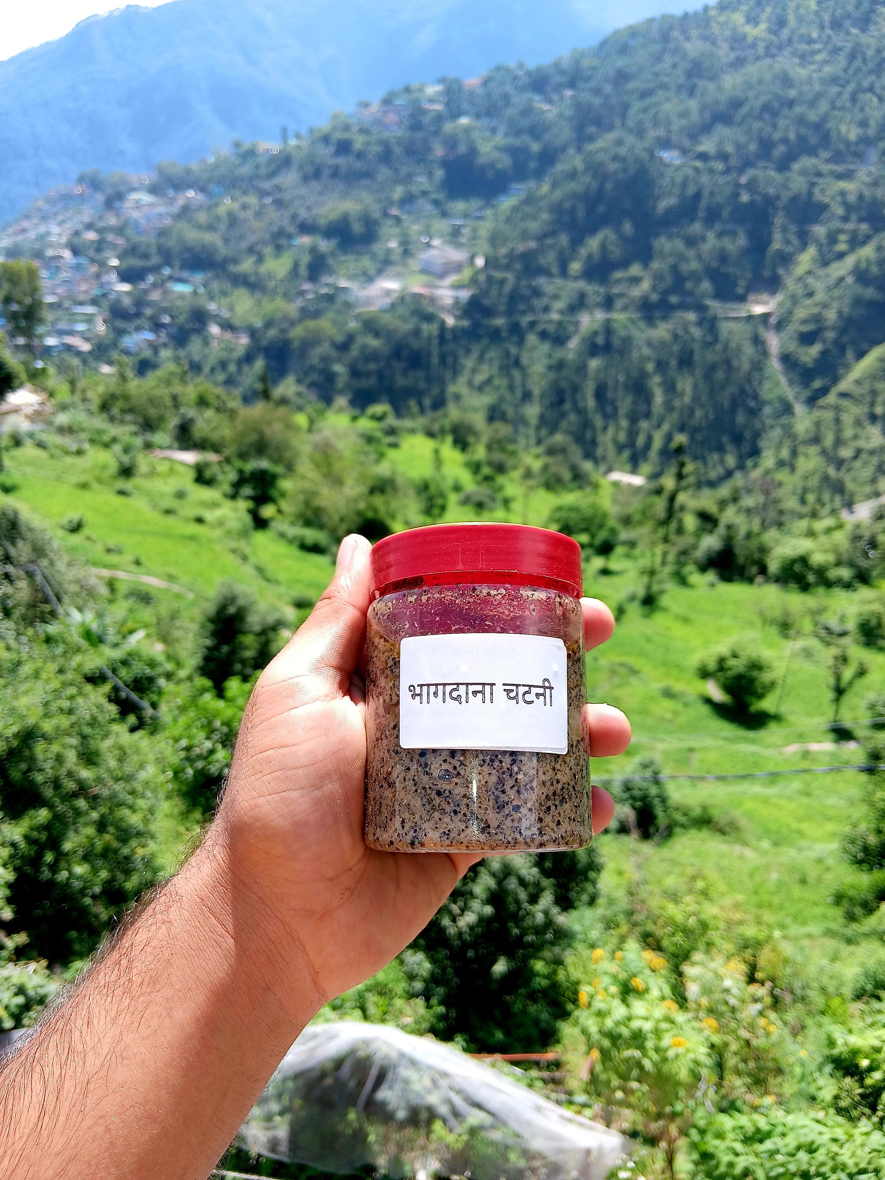 Bhangdana Chutney