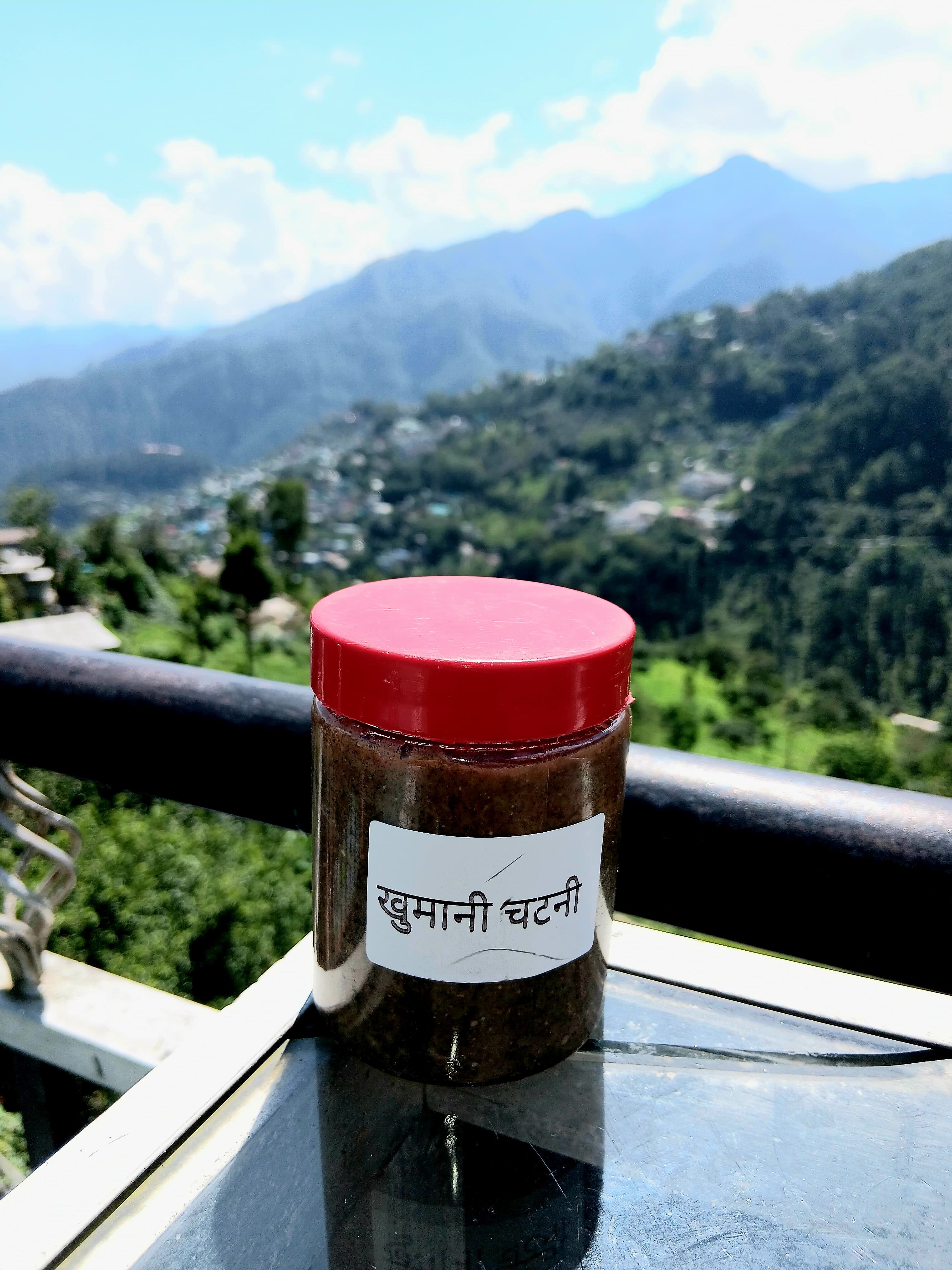 Khumani Chutney