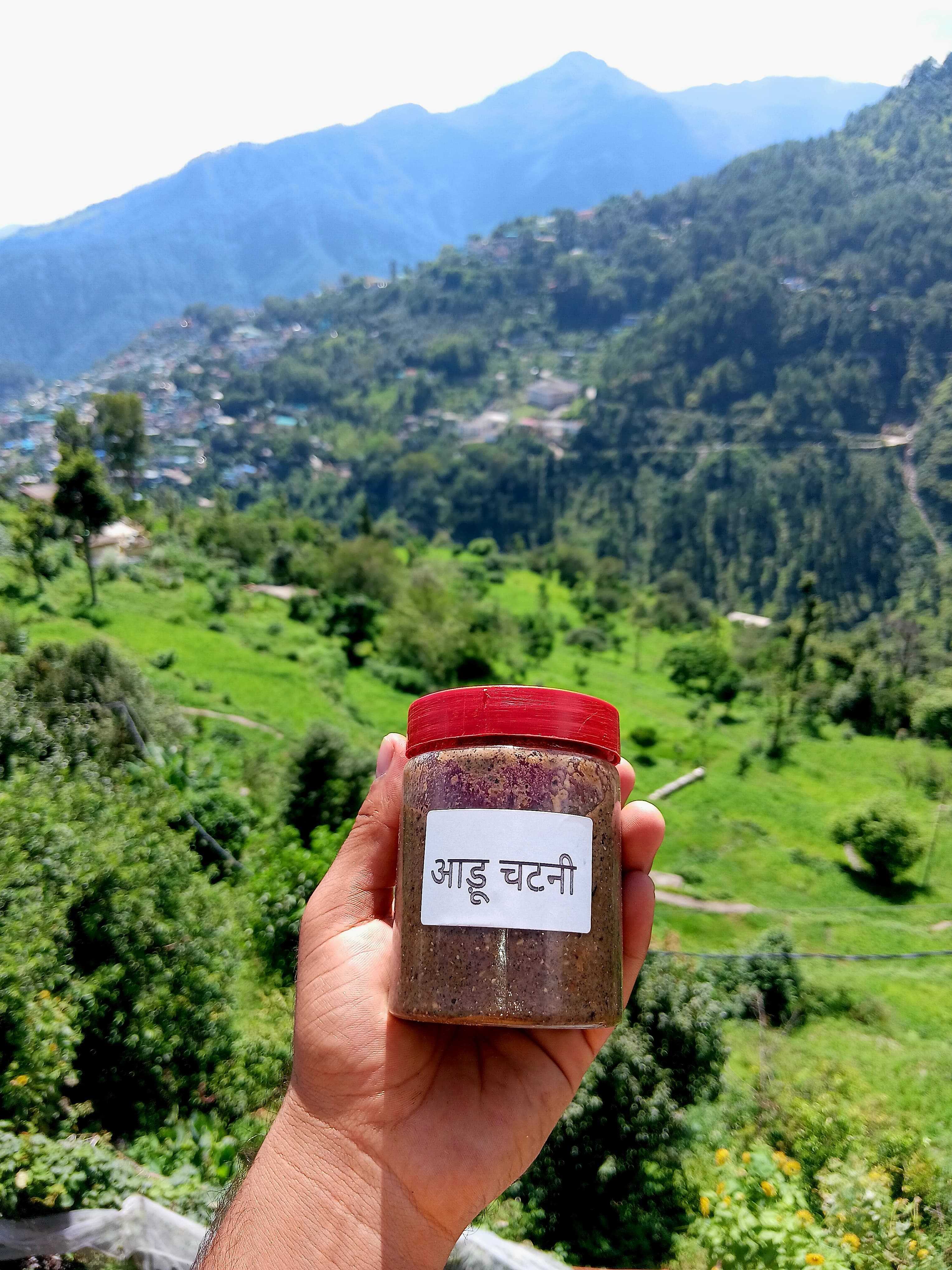 Peach Chutney