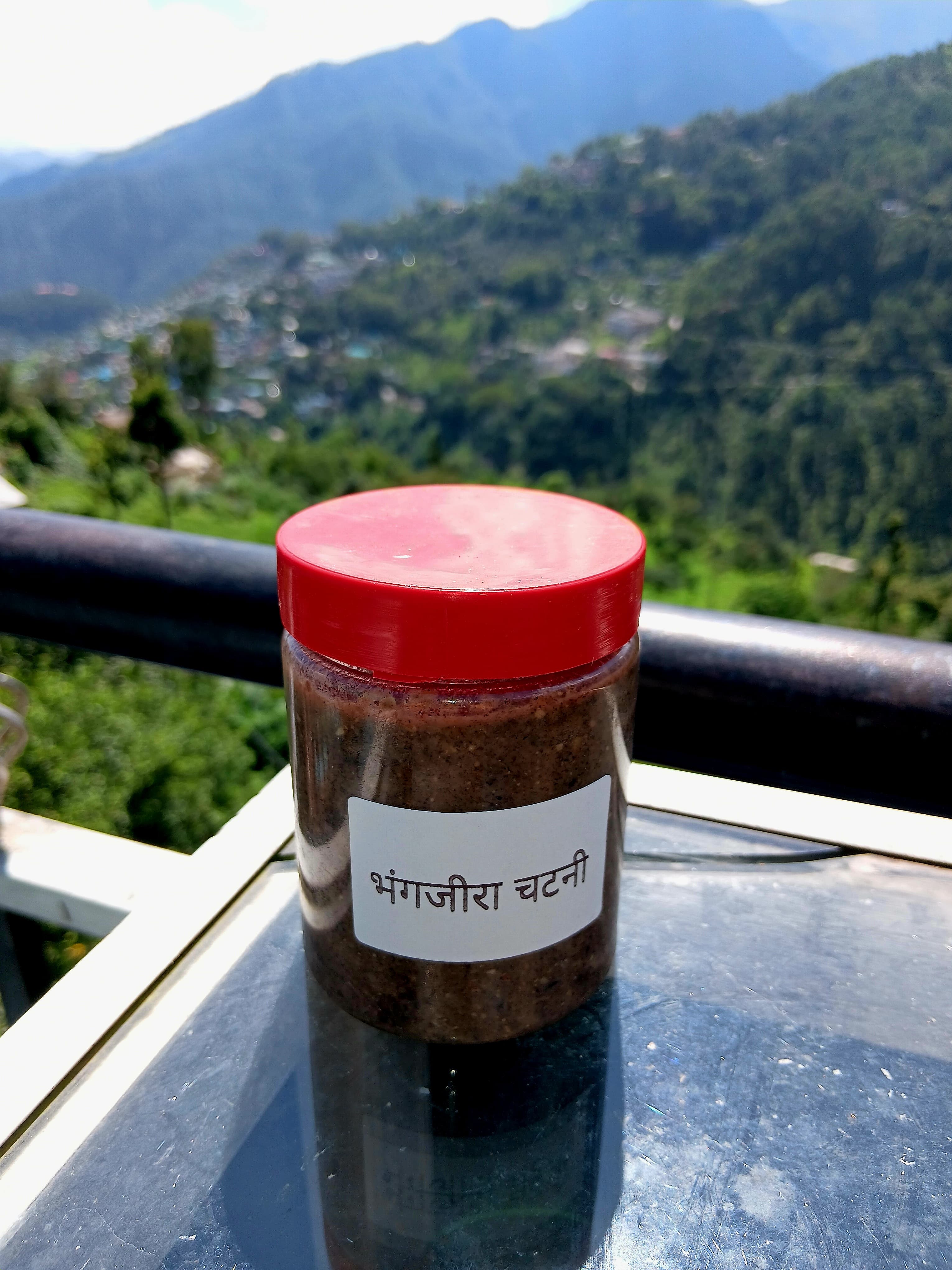 Bhangjeera Chutney