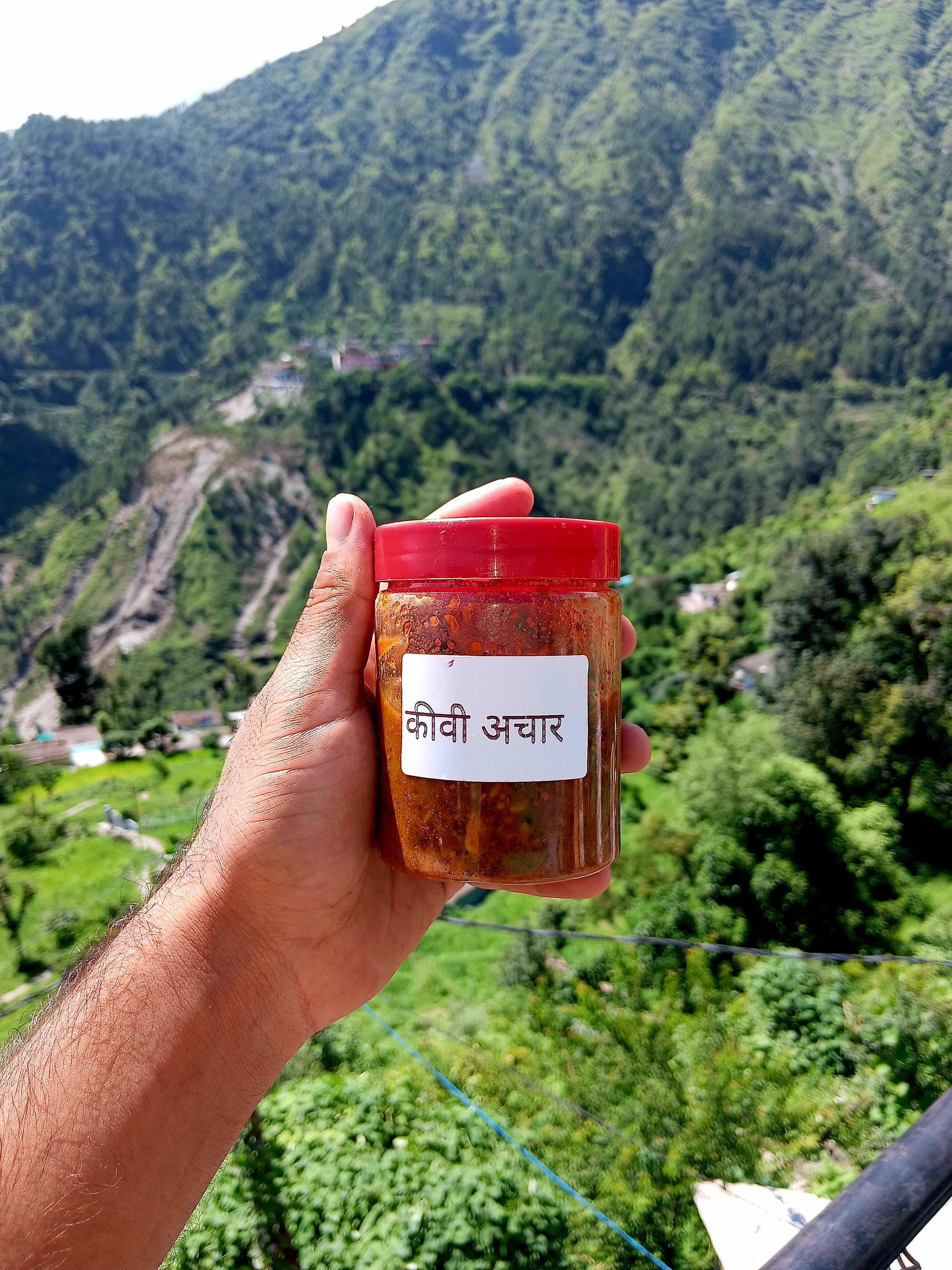 Kiwi Pickle