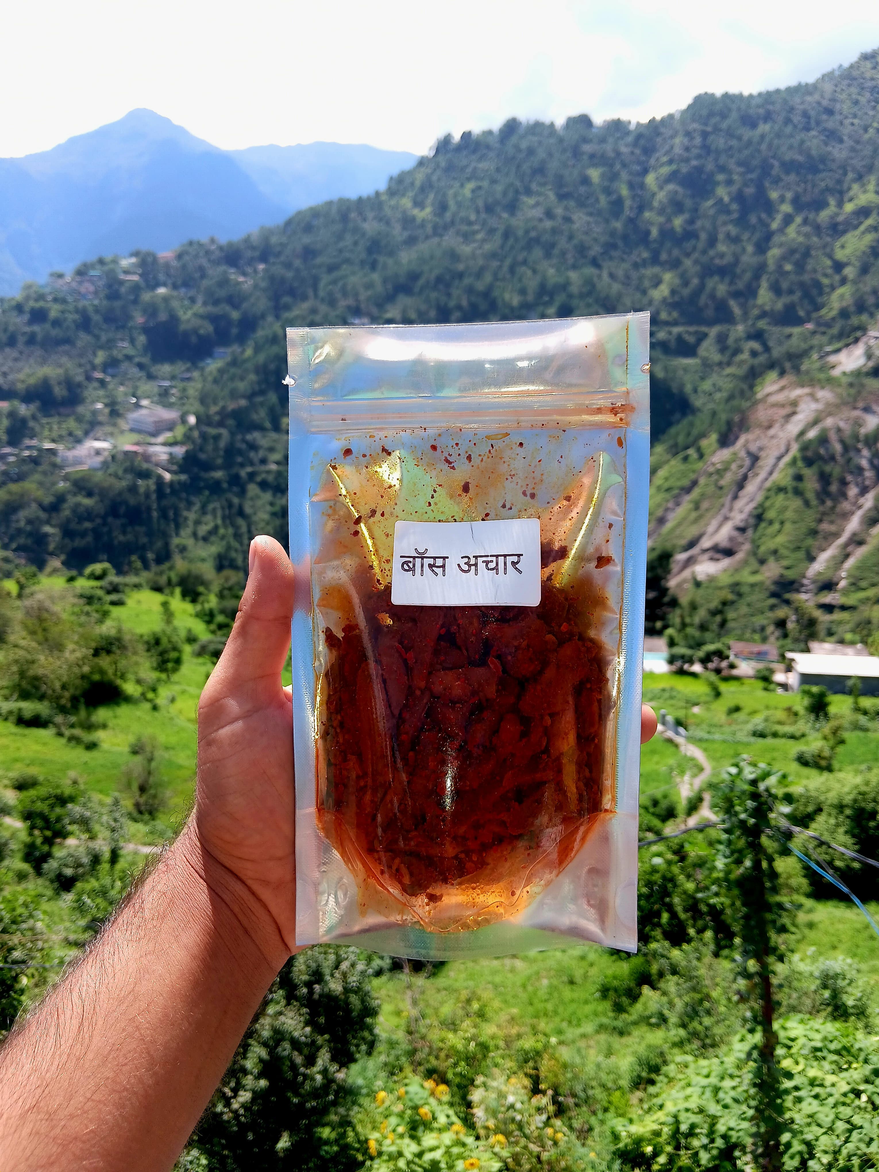 Bamboo Shoot Pickle
