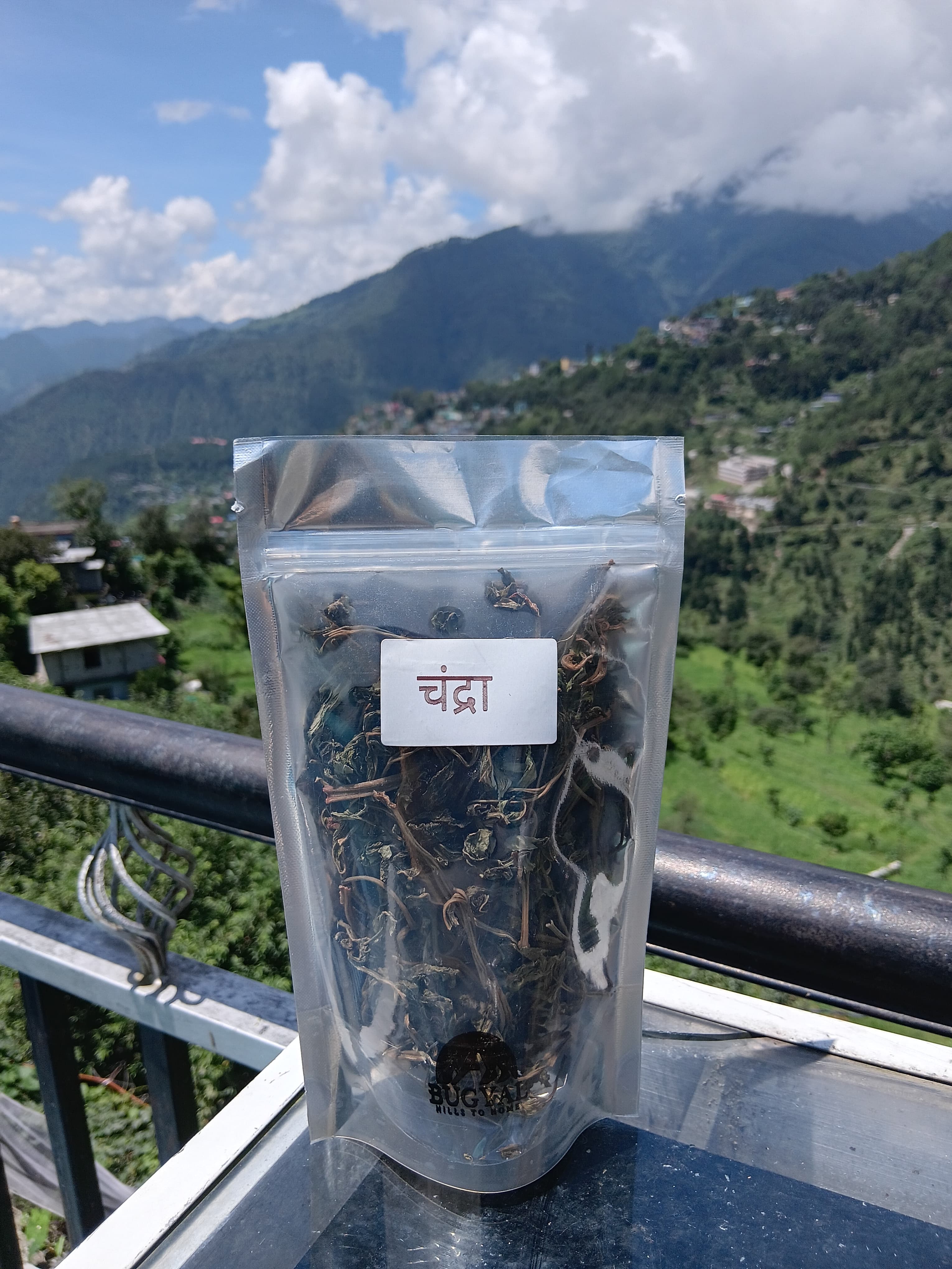 Chandra – Himalayan Traditional Plant