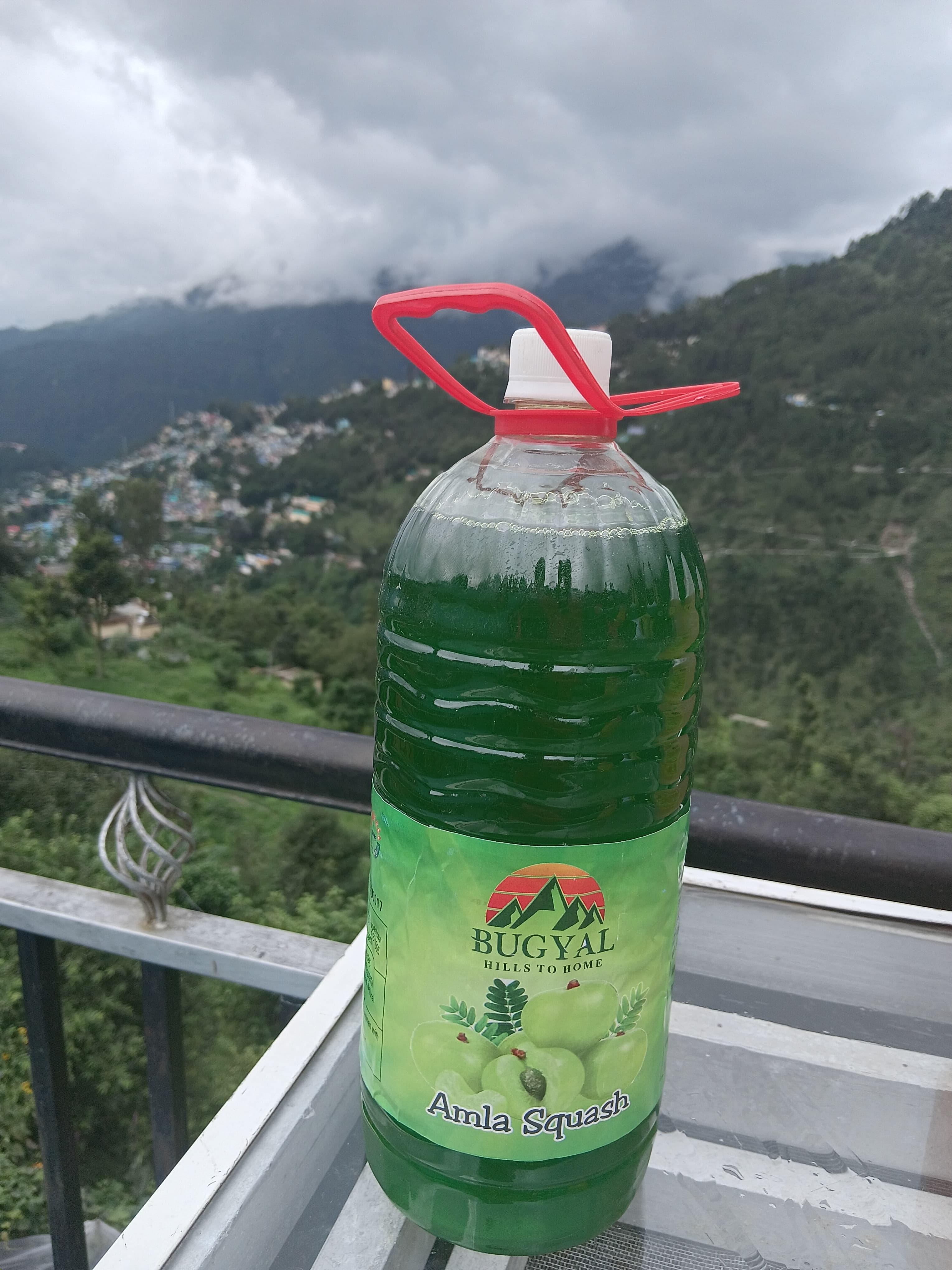 Amla Juice – 2 Litre